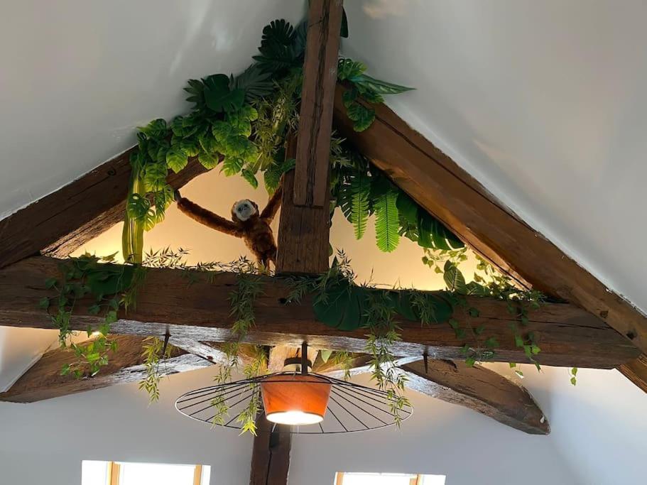 Apartamento Sous Les Tropiques D'Ablis Exterior foto
